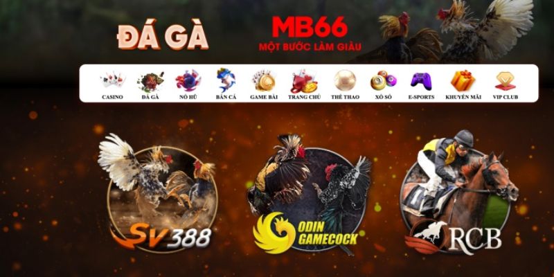 vn88 what is casino bonus wagering