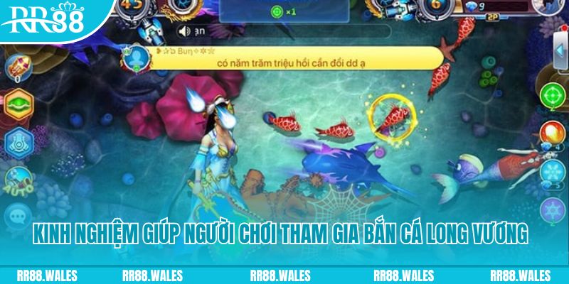 vn88 đăng nhập mậu binh rút tiền nhanh