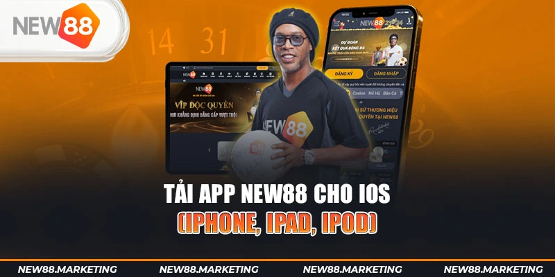 vn88 gà chọi cậu thanh