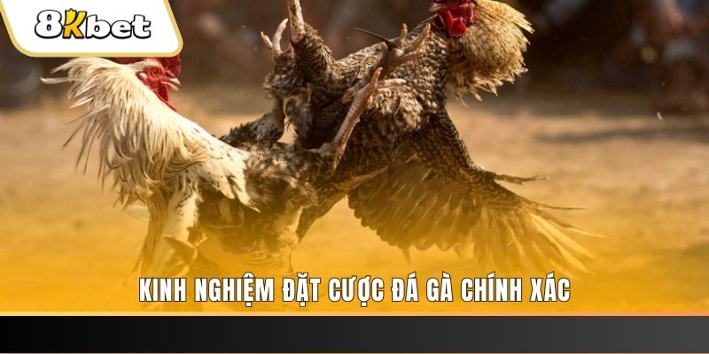 vn88 xổ số thứ bảy hàng tuần