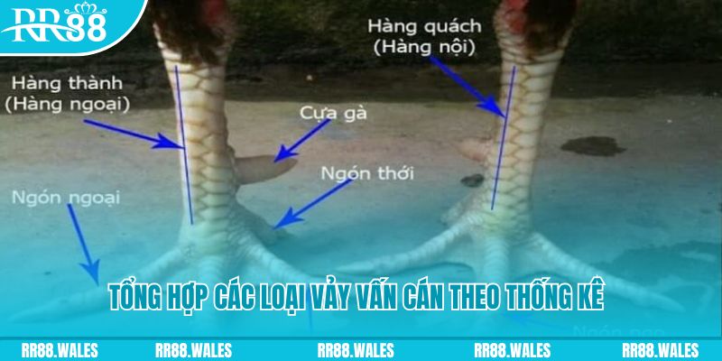 vn88 HB Điện Tử