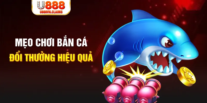 vn88 gà chọi cam ranh
