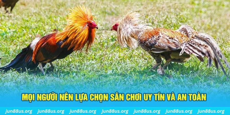 vn88 Cỡ bảy