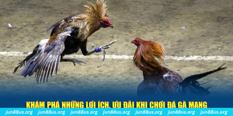 vn88 đăng nhập liêng live