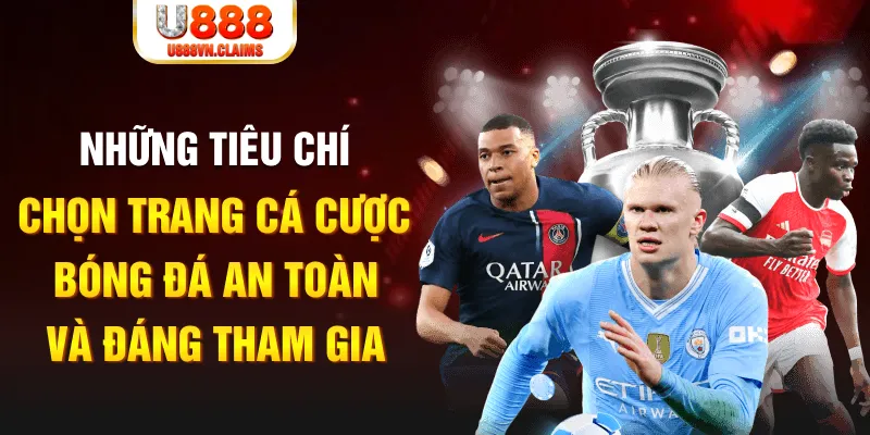 vn88 cá cược thể thao là gì
