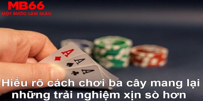 vn88 ÁT CHỦ MÁY HOA QUẢ THẦN TÀI
