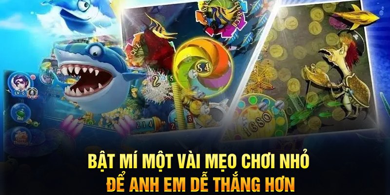 vn88 xổ số thứ ba