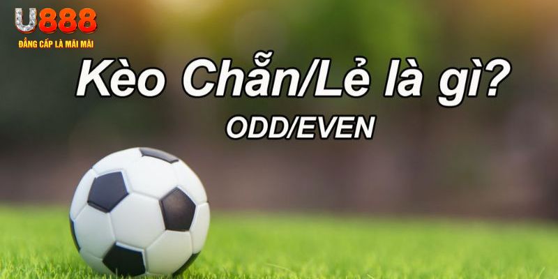 vn88 đăng nhập sòng bạc 2024