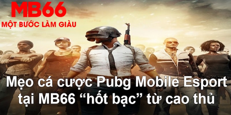 vn88 đăng nhập nổ hũ mới nhất
