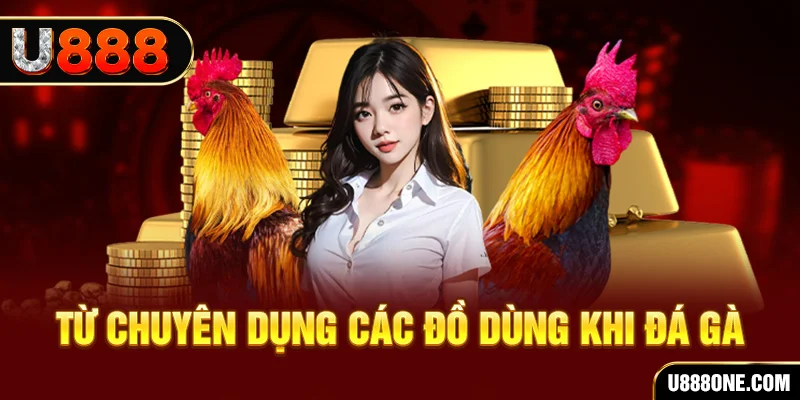 vn88 đá gà trực tiếp campuchia